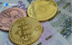 MUMUEX: Bitcoin Surpasses $50,000, Leading a New Era in Digital Assets