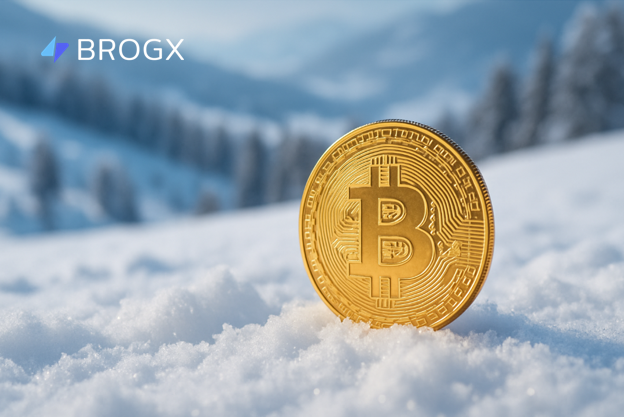 Defying the “Crypto Winter”: BROGX Leads Industry Trends with Annual Service Upgrades