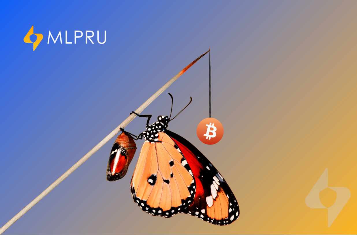 MLPRU 2022: Advancing Through Turbulence, Transforming Through Innovation